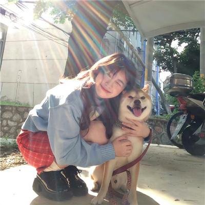 神犬出击